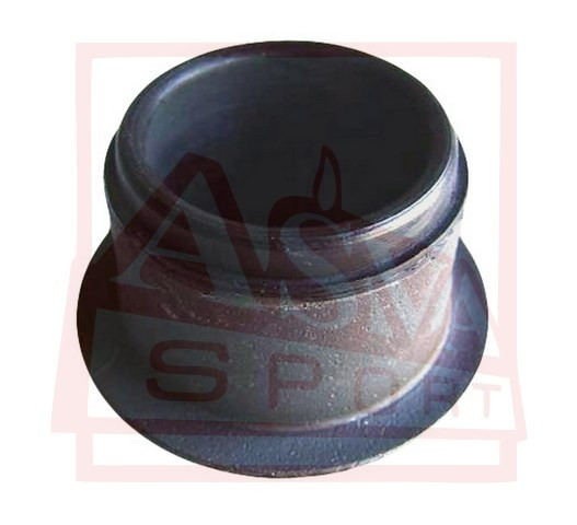Querlenkerlager Asva-0101-03ws