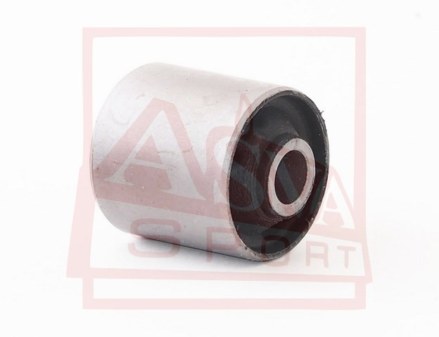 Querlenkerlager Hinten Asva-0101-ncp51r2