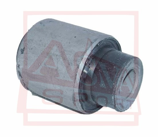 Querlenkerlager Hinten Asva-1101-capr6