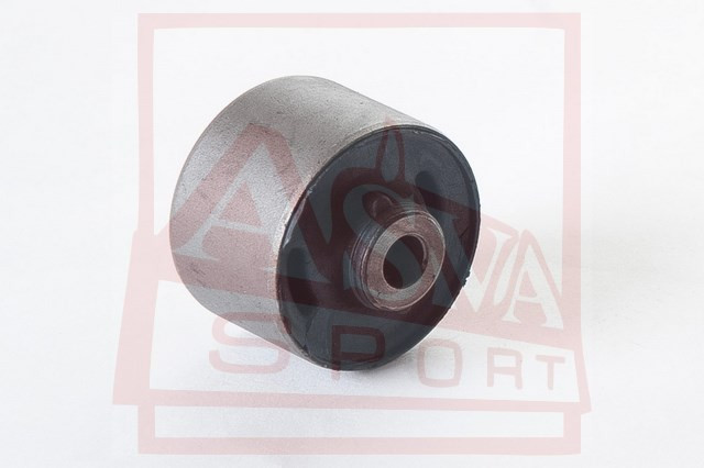 Querlenkerlager Hinten Asva-1201-tuc7