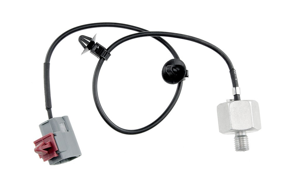Sensor Motorklopfen