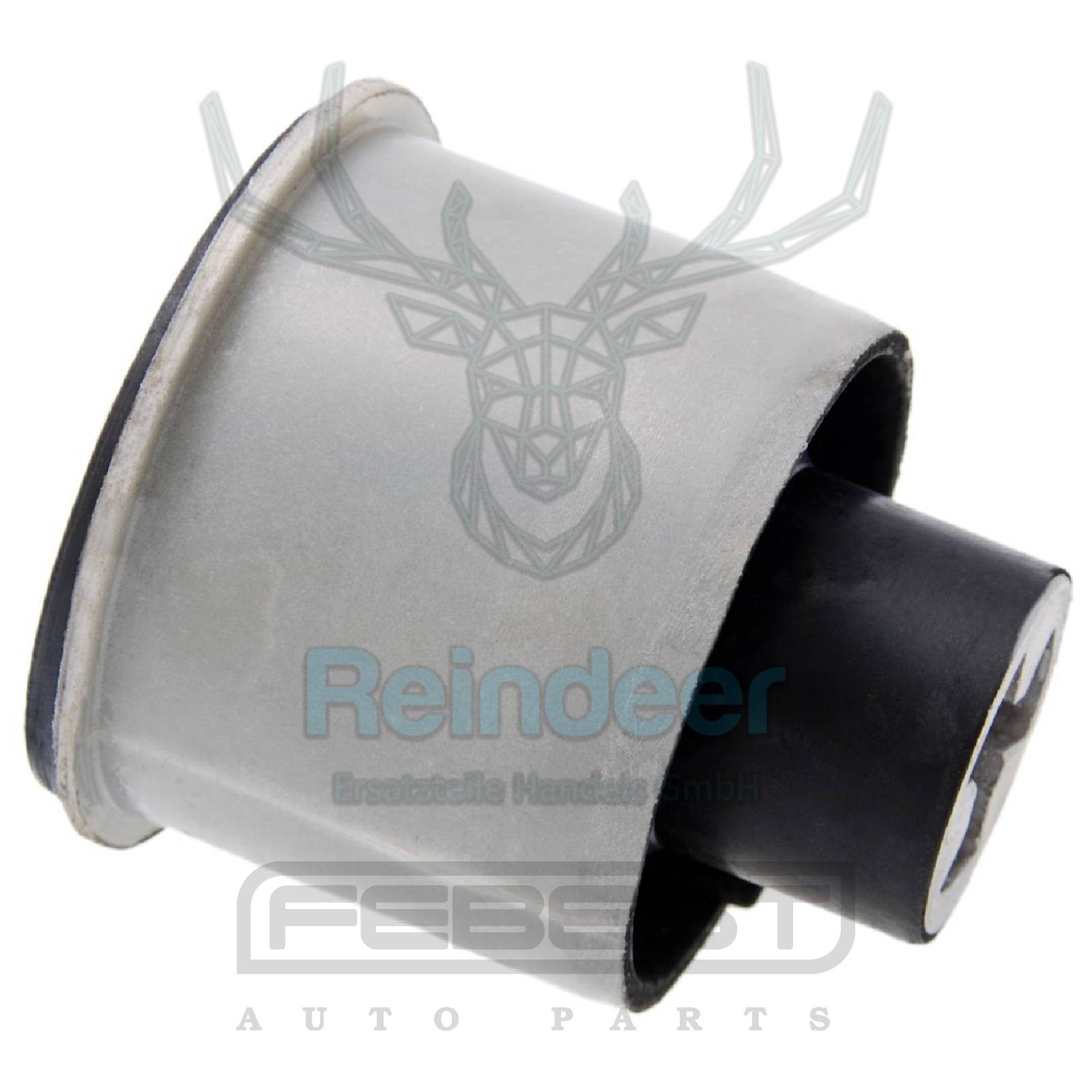 LAGERUNG, ACHSKÖRPER HINTENACHSE passend für AUDI A3 96-03, AUDI TT 98-06, SEAT IBIZA 02-, LEON 99-05, SKODA FABIA 99-07, OCTAVIA 96-10, ROOMSTER 06-, VW BORA 98-05, FOX 05-, POLO 02-