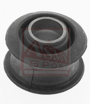 Querlenkerlager Hinten Asva-0101-ncp51r4