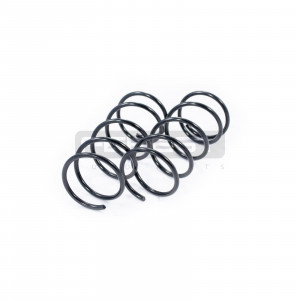 Schraubenfeder vorderachse satz passend für TOYOTA OE: 481312P680