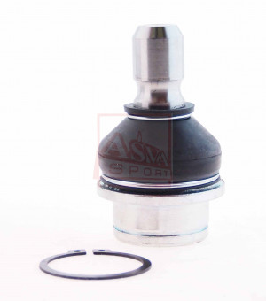 Traggelenk Hinten Asva-0220-r51rd2