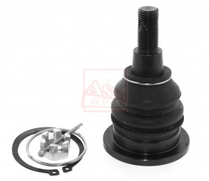 Traggelenk Hinten Asva-0320-cu2r