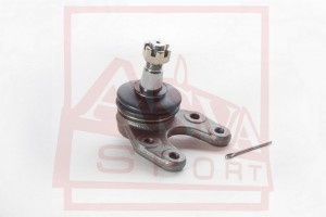 Traggelenk Unten Asva-0520-021