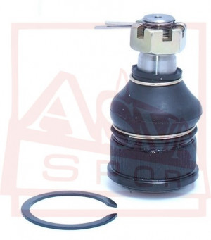 Traggelenk Asva-0520-fr