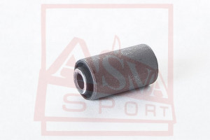 Querlenkerlager Hinten Unten Asva-1101-capr4