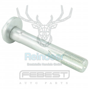 QUERLENKER SCHRAUBE passend für BMW X5 E70/F15 06-, X6 E71/E72/F16 07-