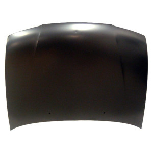 Motorhaube