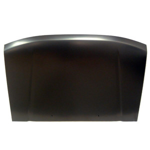 Motorhaube