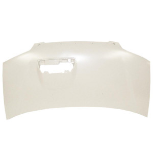 Motorhaube