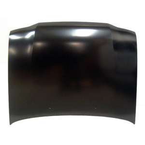 Motorhaube