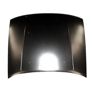 Motorhaube