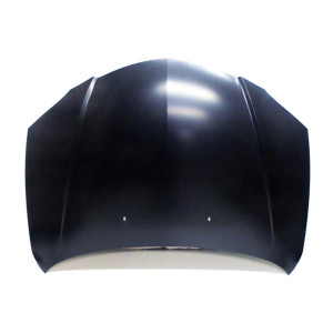 Motorhaube