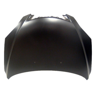 Motorhaube