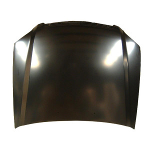 Motorhaube