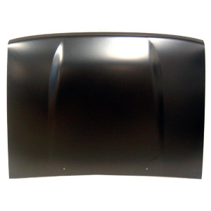 Motorhaube