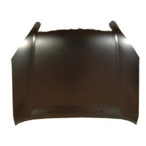 Motorhaube