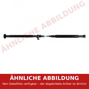 KARDANWELLE für RENAULT Master, OPEL Movano, NISSAN NV400, L=1250mm (1170mm zur Unterstützung)