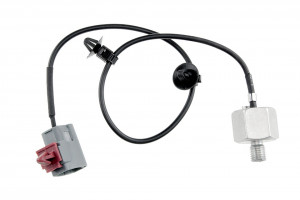 Sensor Motorklopfen