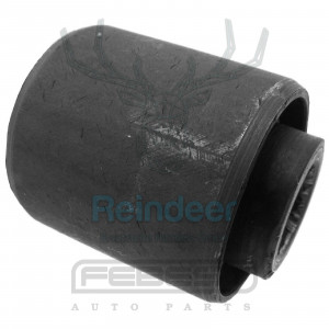 BUCHASE, ACHSSCHENKELBOLZEN passend für LEXUS LS400 94-00 /HINTEN/