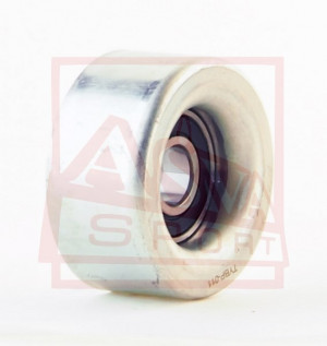 Spannrolle Asva-tybp-011