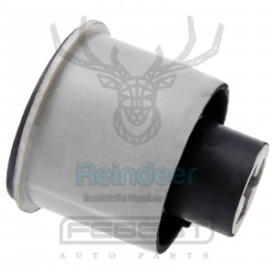 LAGERUNG, ACHSKÖRPER HINTENACHSE passend für AUDI A3 96-03, AUDI TT 98-06, SEAT IBIZA 02-, LEON 99-05, SKODA FABIA 99-07, OCTAVIA 96-10, ROOMSTER 06-, VW BORA 98-05, FOX 05-, POLO 02-